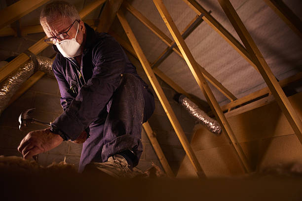 Types of Insulation We Offer in Brice Prairie, WI