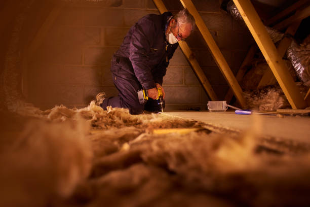 Best Cellulose Insulation in Brice Prairie, WI